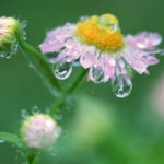 総務委員会の独り言