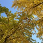 指針、綱領（総務委員会の独り言）